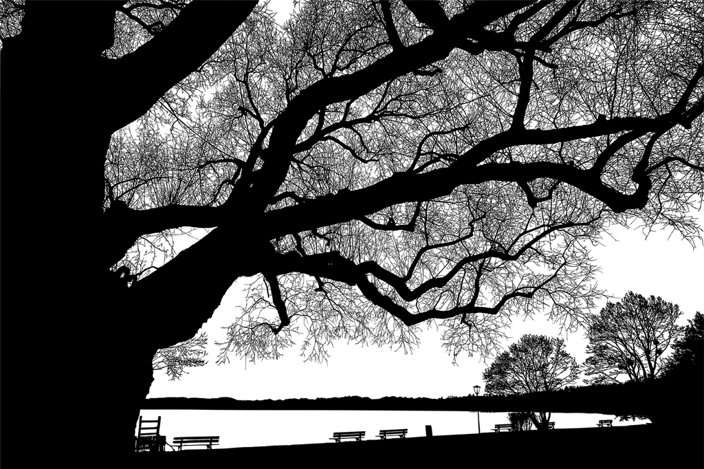 hero_image